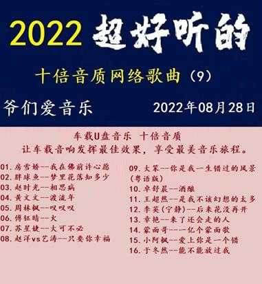 群星《2022超好听十倍音质网络歌曲(9)》WAV分轨