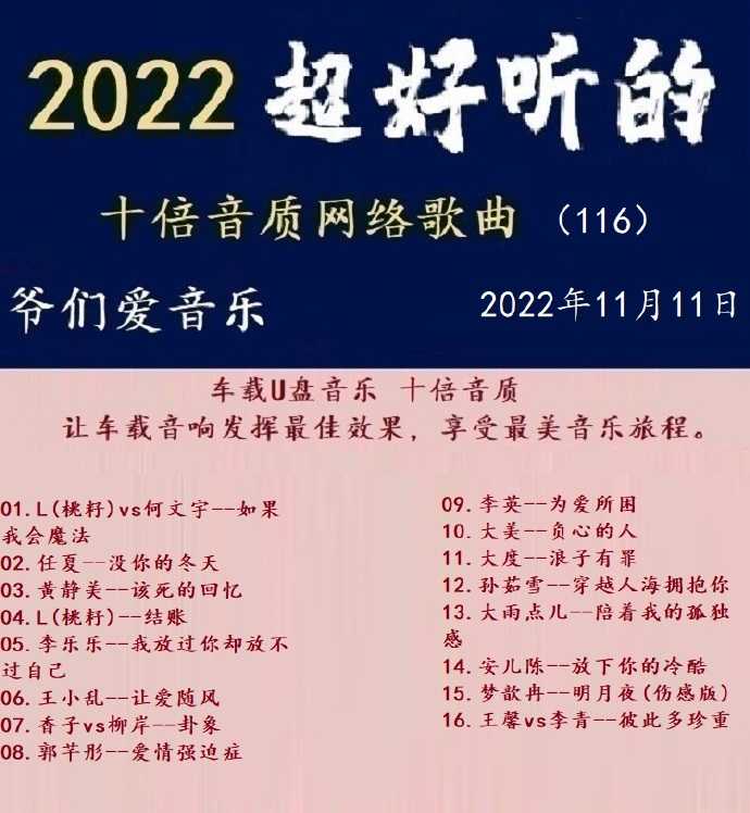 群星《2022超好听的十倍音质网络歌曲(116)》WAV分轨