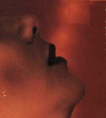 甄妮.1981-冲击(LP版)【SONY】【WAV+CUE】