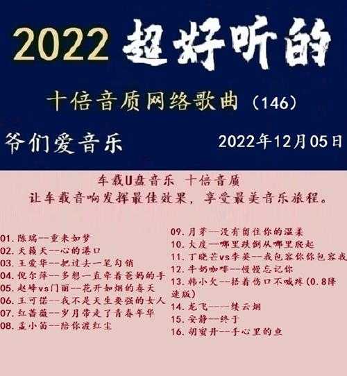 群星《2022超好听的十倍音质网络歌曲（146）》WAV分轨