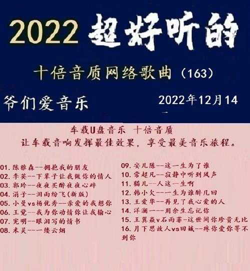 群星《2022超好听的十倍音质网络歌曲（163）》WAV分轨