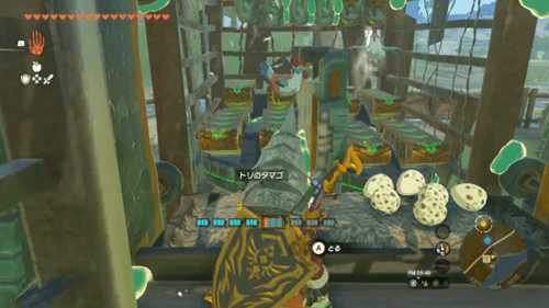 迫害我鸡神!《王国之泪》玩家造出全自动养鸡场