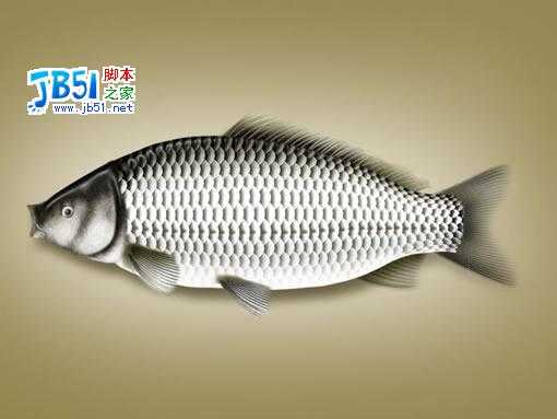 Photoshop精致鼠绘实例:逼真的鱼