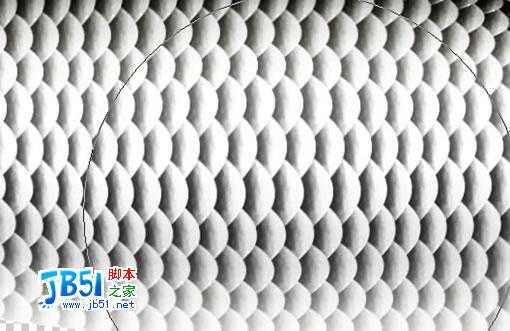 Photoshop精致鼠绘实例:逼真的鱼