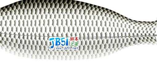 Photoshop精致鼠绘实例:逼真的鱼