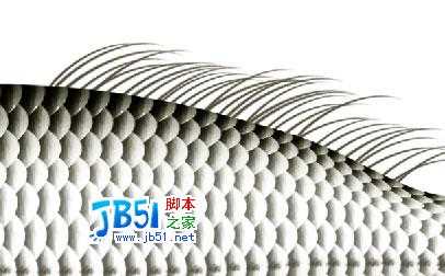 Photoshop精致鼠绘实例:逼真的鱼