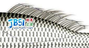 Photoshop精致鼠绘实例:逼真的鱼