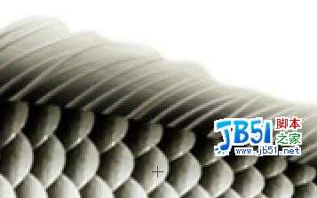 Photoshop精致鼠绘实例:逼真的鱼