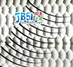 Photoshop精致鼠绘实例:逼真的鱼