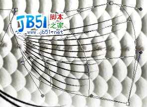 Photoshop精致鼠绘实例:逼真的鱼