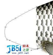 Photoshop精致鼠绘实例:逼真的鱼