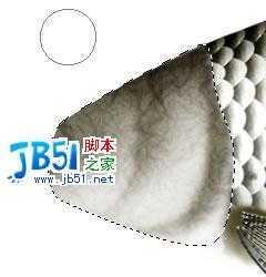 Photoshop精致鼠绘实例:逼真的鱼