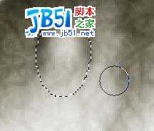 Photoshop精致鼠绘实例:逼真的鱼