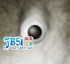 Photoshop精致鼠绘实例:逼真的鱼