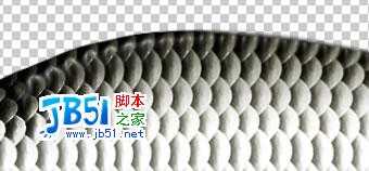 Photoshop精致鼠绘实例:逼真的鱼