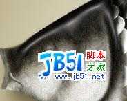 Photoshop精致鼠绘实例:逼真的鱼