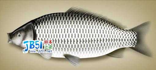 Photoshop精致鼠绘实例:逼真的鱼