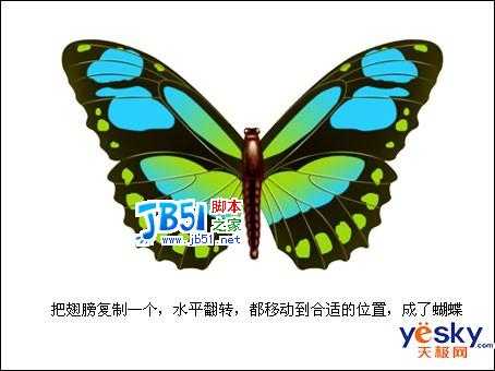 Photoshop路径工具鼠绘美丽的彩色蝴蝶