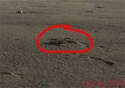 PhotoShop合成单腿站在盒子上的幻想风格图片