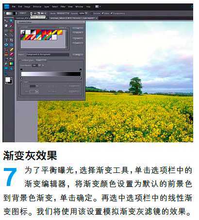 PS调整油菜花图片的光线与色彩