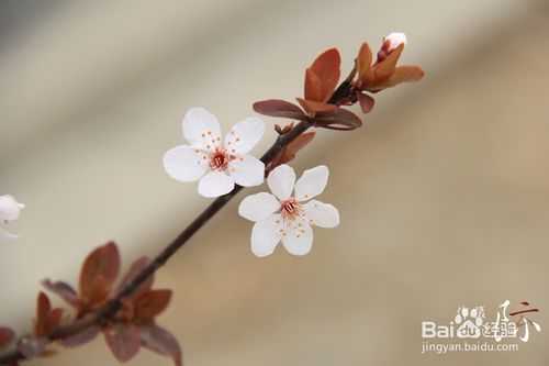 单反相机入门教程:摄影技巧及知识介绍