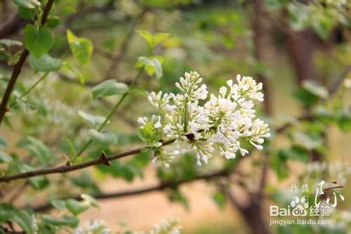 单反相机入门教程:摄影技巧及知识介绍