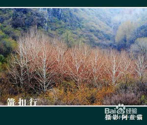 阴天可不可以拍出好片子?阴天拍摄技巧介绍