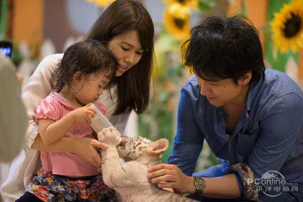 拿单反=摄影师?盘点不文明的拍摄行为