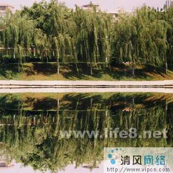 Fireworks制作逼真的水波倒影效果