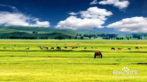 数码单反相机拍摄技巧心得之三:强化集中到被摄主体