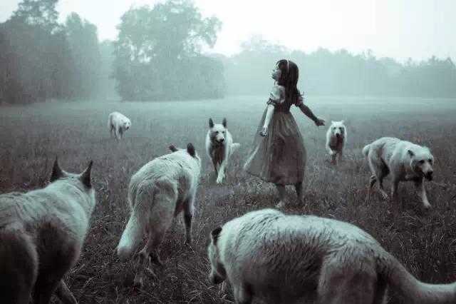 美女摄影师妈妈一出手,影楼瞬间弱爆了