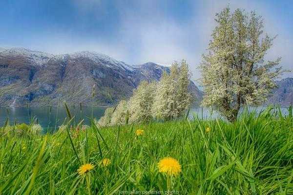 如何用用摄影展示自然界的色彩旋律