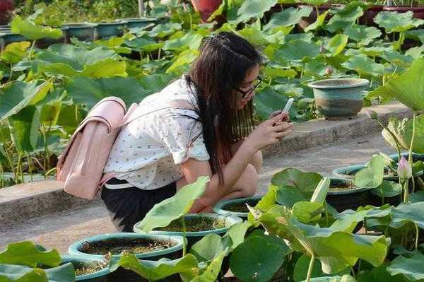 用手机拍摄出好照片的小要点分享