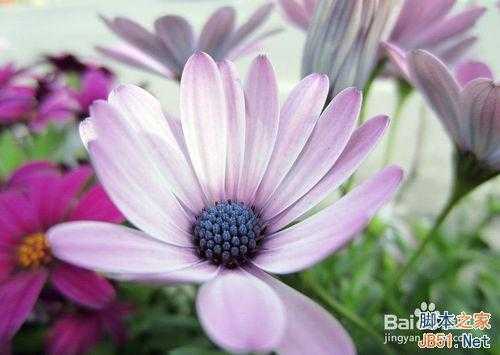 摄影:单反相机中P、A、S、M四种曝光模式的用法详解