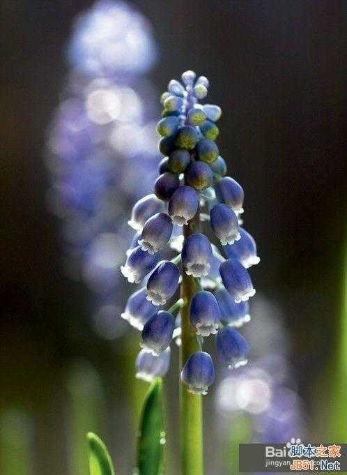 摄影:单反相机中P、A、S、M四种曝光模式的用法详解