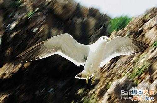 摄影:单反相机中P、A、S、M四种曝光模式的用法详解