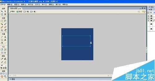fireworks怎么去水印?fireworks遮图遮水印的详细教程
