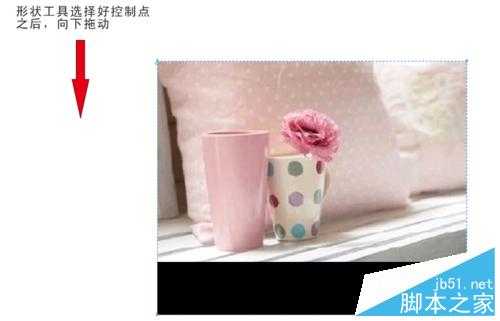 coreldraw如何裁剪? cdr快速裁剪图片的三种方法