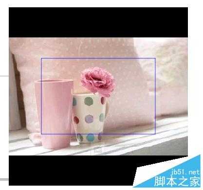 coreldraw如何裁剪? cdr快速裁剪图片的三种方法