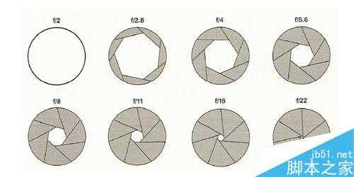 怎么拍出黑色背景的特色照片?