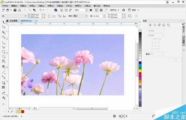 CorelDRAW等分分割图片