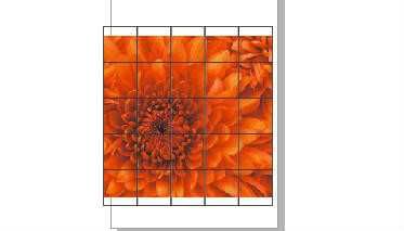 cdr简单几步将图片制作出拼图效果