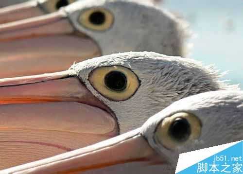 青少年摄影师的作品 儿童眼中的地球摄影佳作欣赏