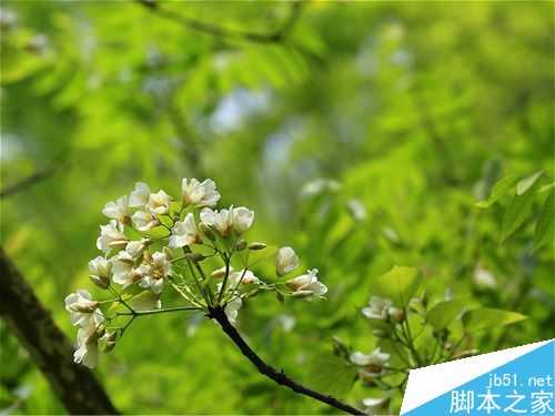 教你如何拍摄出古道山水风光的美景