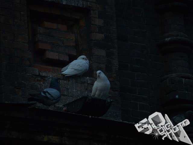 为什么照片老是过曝或过暗呢?怎么用色阶图看照片的曝光量?