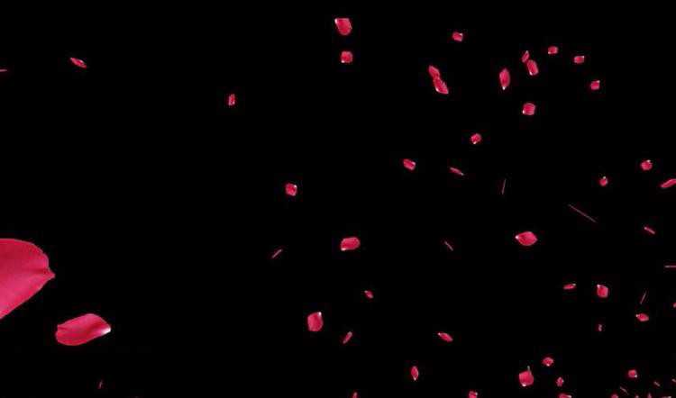 LR+PS后期调出油画质感的梦幻古风人像照片教程