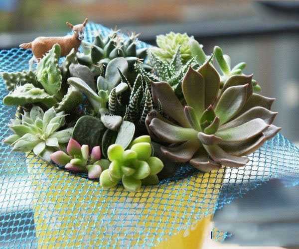 电脑辐射怎么防?史上最全的电脑辐射防护措施