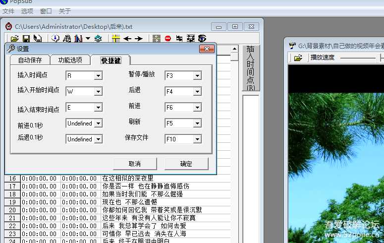 视频MV字幕软件PopSub_Version0.74绿色免安装版